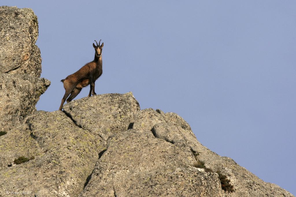 Vvf Pyrenees Canigou Prats-de-Mollo-la-Preste Zewnętrze zdjęcie